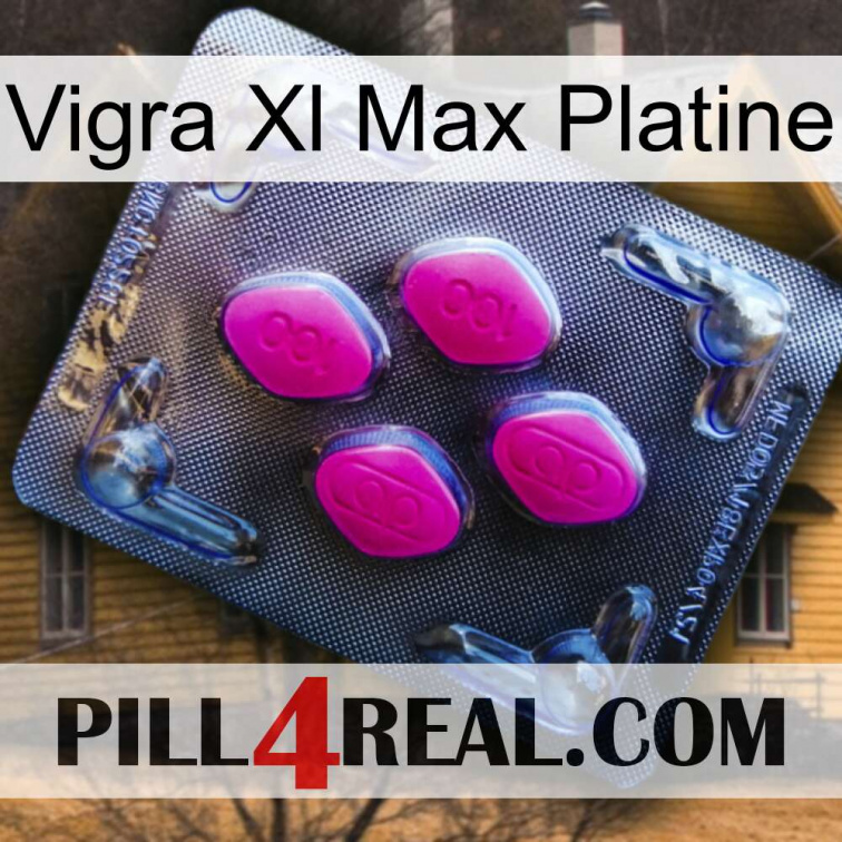 Vigra Xl Max Platinum 02